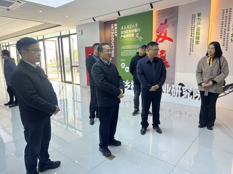 張峰赴無為市調研糯米精深加工產業發(fā)展